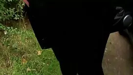 دو زن زیبا, نیمکت, س ...