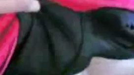 تازه کار, کون فیلم س ...