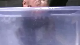 دو زن را دوست فیلم س ...