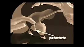 کیر سكس دزدان دريايي