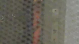 دختر بالغ دانلود فیل ...