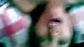 لیسیدن گربه وار دانل ...