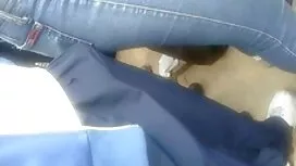 سکس سکس دزدان دریایی ...