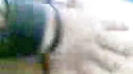 نادیا مجارستان در یک ...